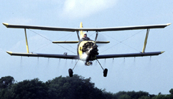 Aerial spraying to eradicate gypsy moths