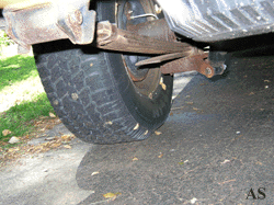 Gypsy moth eggs on wheel of Buick car