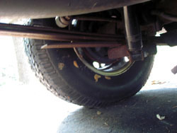 Gypsy moth  egg masses on wheel