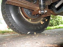 Gypsy moth egg masses on wheel