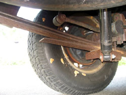 Gypsy moth egg masses on wheel