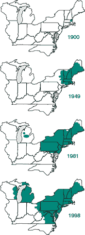 Gypsy moth spread map