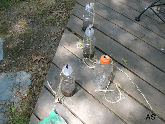 Scentry Gypsy Moth Trap & Lures